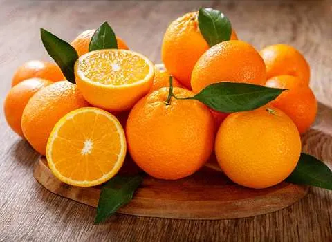 قیمت پرتقال تامسون قائمشهر + خرید باور نکردنی